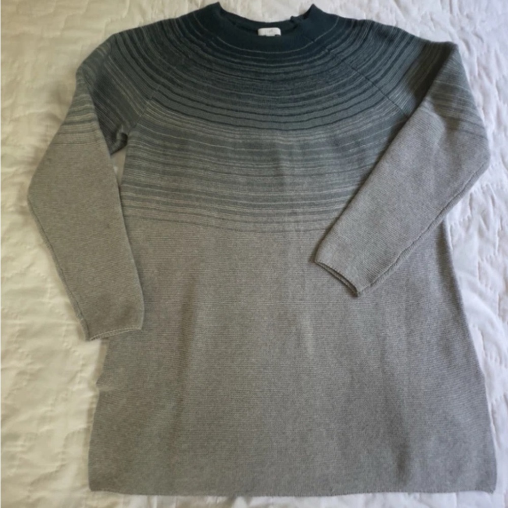 J. Jill Blue and Gray Women's Crew Neck Sweater EUC